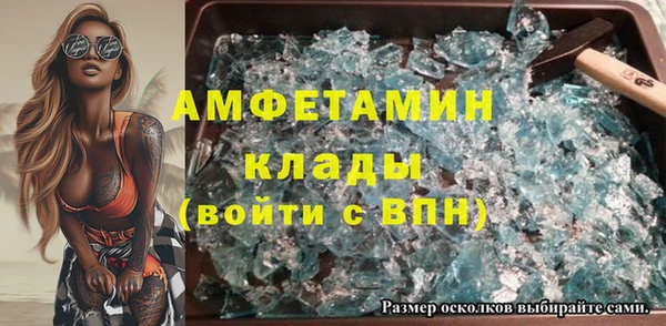 ПСИЛОЦИБИНОВЫЕ ГРИБЫ Осинники