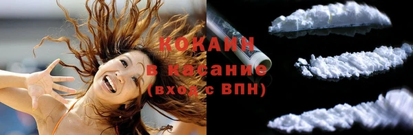 ПСИЛОЦИБИНОВЫЕ ГРИБЫ Осинники