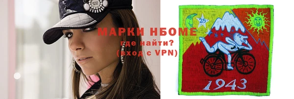 ПСИЛОЦИБИНОВЫЕ ГРИБЫ Осинники