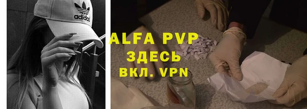 шишки Кадников
