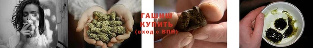 ПСИЛОЦИБИНОВЫЕ ГРИБЫ Осинники