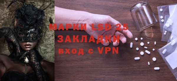 ПСИЛОЦИБИНОВЫЕ ГРИБЫ Осинники