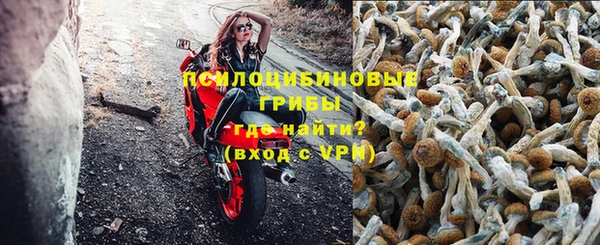 гидропоника Ишимбай