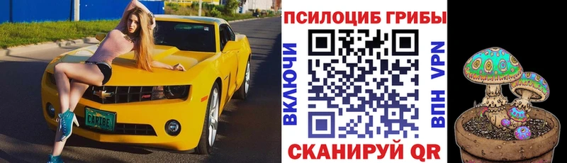Псилоцибиновые грибы мухоморы Инта